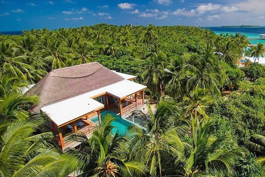 Treetop Pool Villa