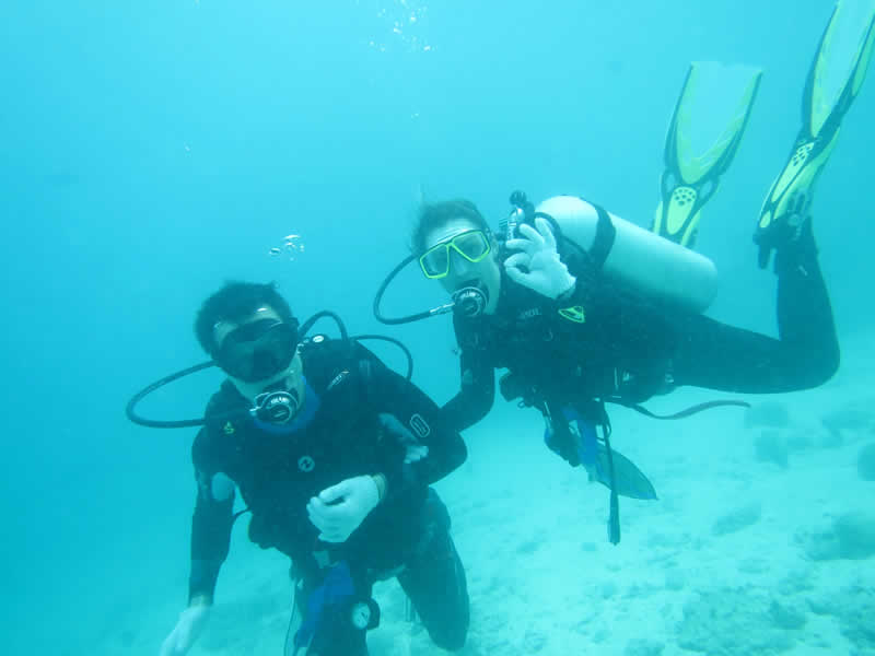 Guided Snorkeling  with a myriad of colourful fish