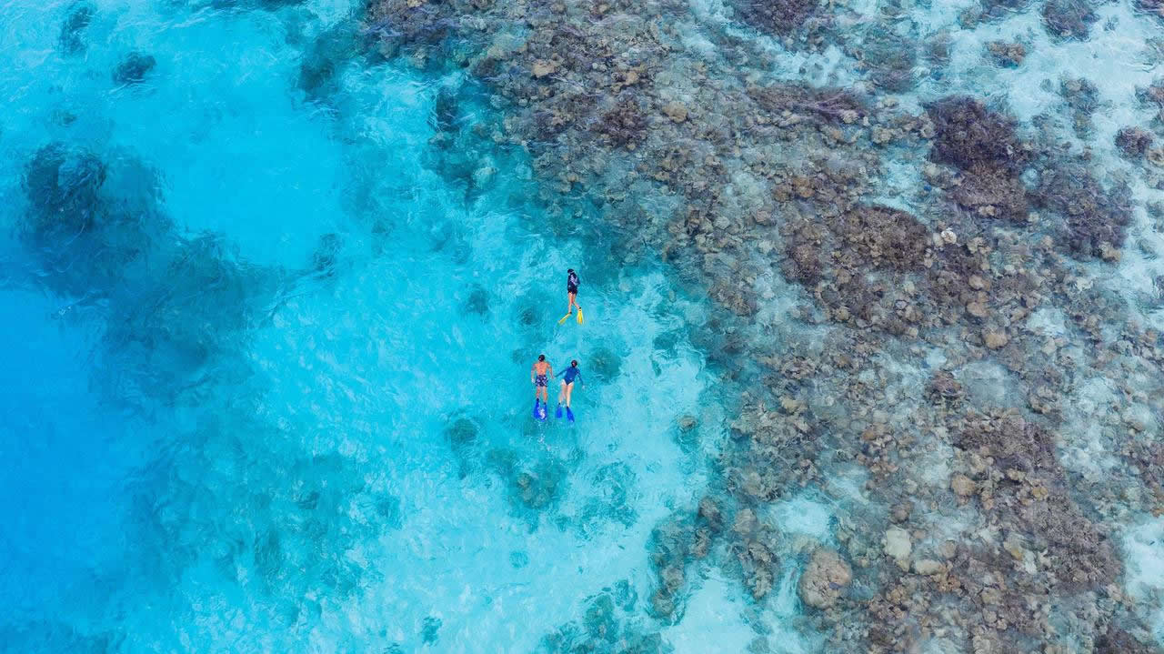 Raffles Maldives Meradhoo - snorkeling with turtles