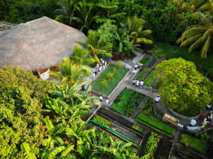 AquaTerra center at Soneva Fushi